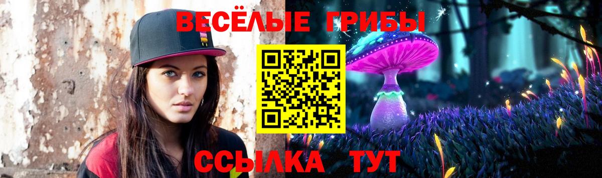 Псилоцибиновые грибы Psilocybine cubensis Фролово